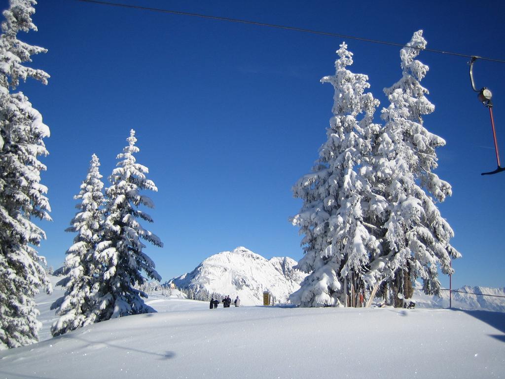 Ferienhaus Niedermoser Leogang Dış mekan fotoğraf